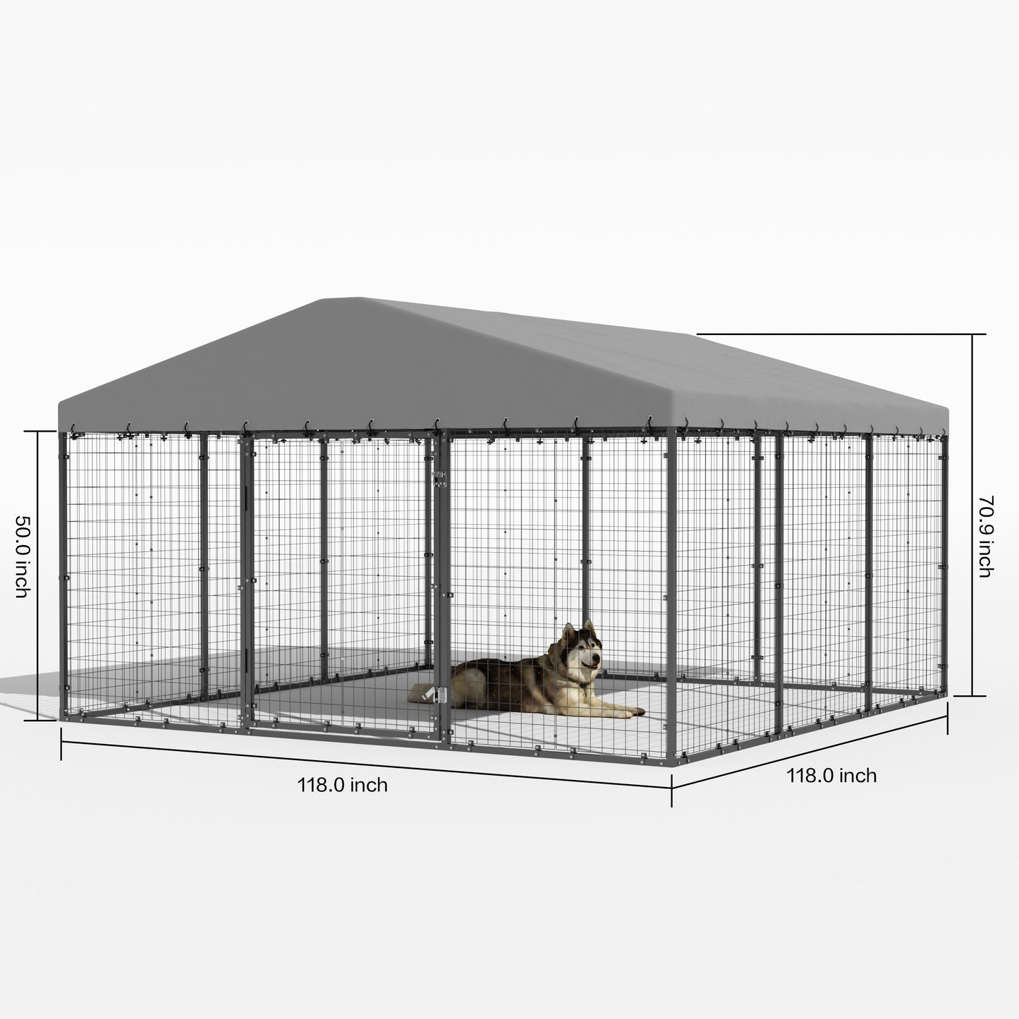 10x10ft Outdoor Metal Dog Kennel & Chicken Run with UV Roof